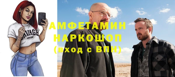 стаф Аркадак