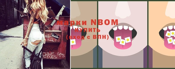 стаф Аркадак