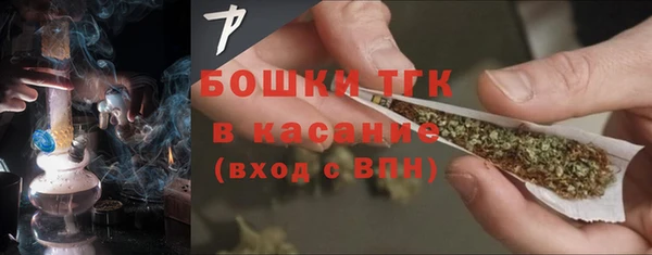 стаф Аркадак