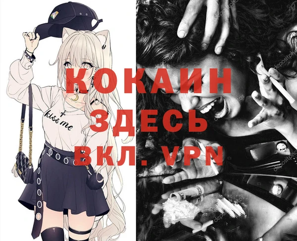 стаф Аркадак