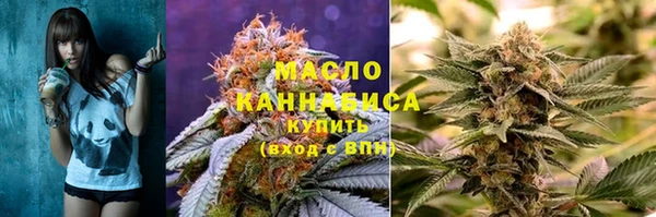 стаф Аркадак