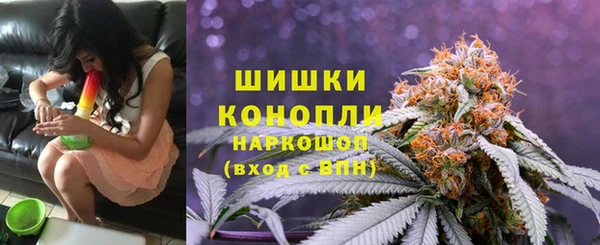 стаф Аркадак