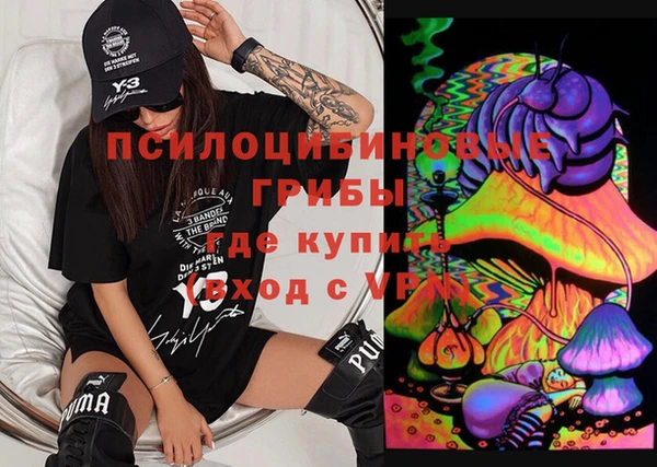 стаф Аркадак