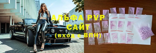 стаф Аркадак