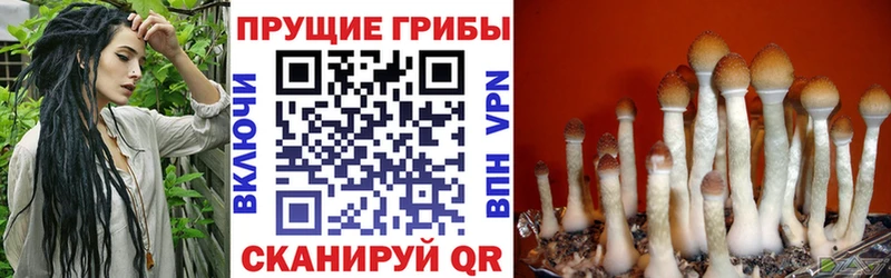 Псилоцибиновые грибы мухоморы где продают наркотики Спас-Деменск